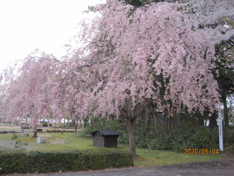 IMG_0378.JPG
