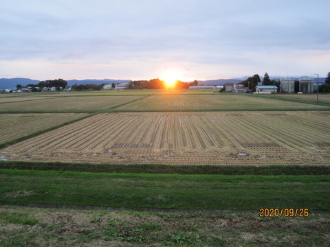 IMG_1650.JPG