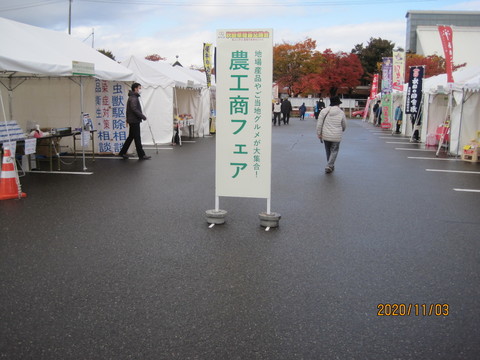 IMG_2070.JPG