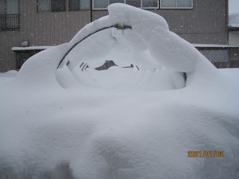 IMG_2709.JPG