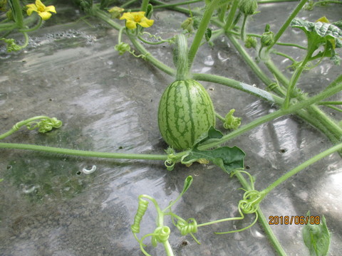 IMG_5886.JPG