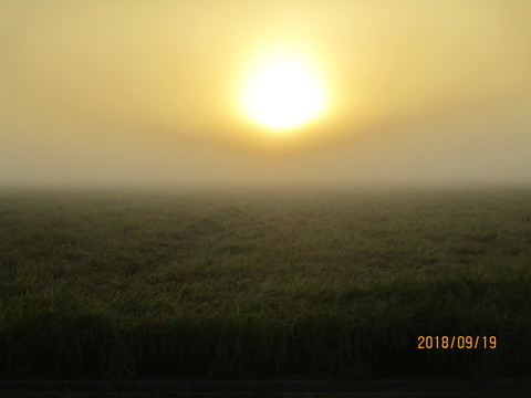 IMG_6721.JPG