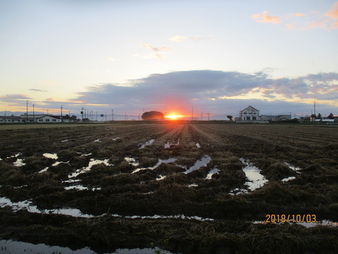 IMG_6846.JPG
