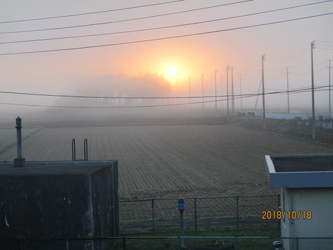IMG_6957.JPG