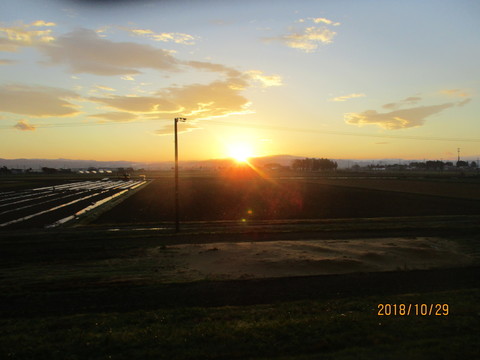 IMG_7157.JPG