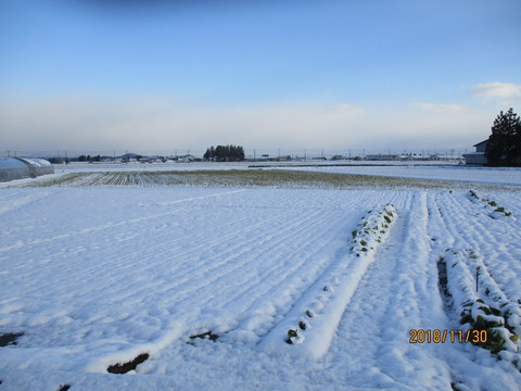 IMG_7340.JPG