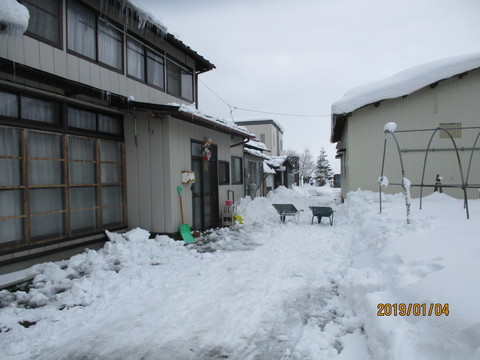 IMG_7717.JPG