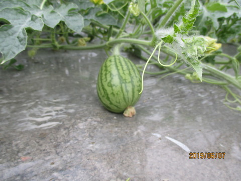 IMG_9088.JPG