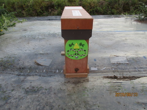 IMG_9149-thumbnail2-thumbnail2.jpg