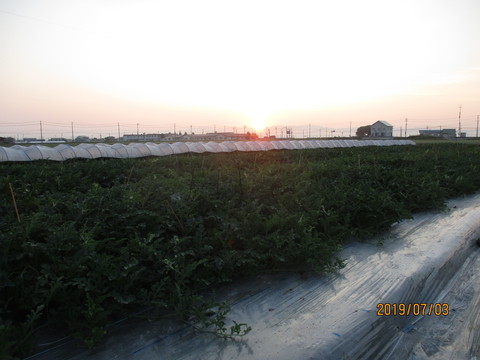 IMG_9269.JPG